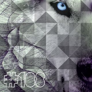 avsnitt 108 - om Husky / Magnus Ormestad