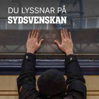 Vem ska ta hand om de ukrainska flyktingarna?