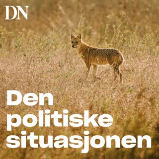 Sommerferie - spesial - Sjakalen - Norges nye rovdyr