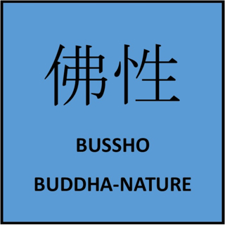 252 - Reflections on Dogen's "Bussho, The Buddha-Nature" Part 2: Total Existence