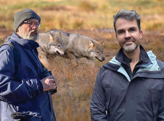 Naturpodden: Vargar och rovdjurspolitik