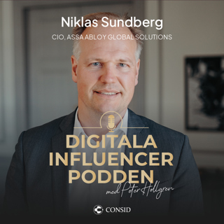 216. Nyckeln till hållbar IT | Niklas Sundberg, CIO, Assa Abloy Global Solutions | Hållbar It