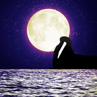 Teaser - Tusk (2014)