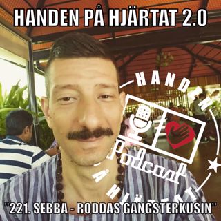 ”221. SEBBA - RODDAS GANGSTERKUSIN”