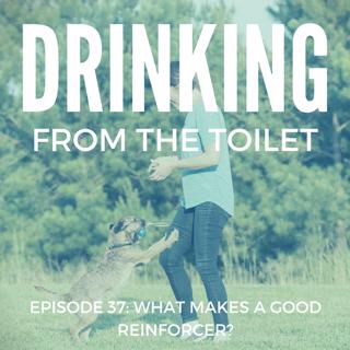 #37: What makes a good reinforcer?