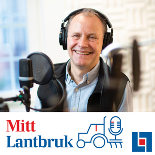 Avsnitt 43 - Hur ser investeringsviljan ut i krisen?