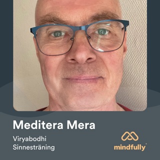 Viryabodhi - Om meditation & sinnesträning