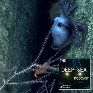 040 - Submarine canyons with Teresa Amaro