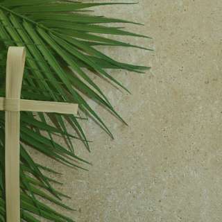 4.2.23 - Hosanna! Save Us! Salvation is Here! (Palm Sunday)