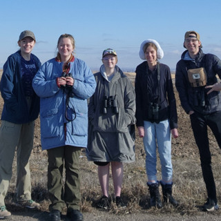 BYUI Wildlife Society conducting swan research
