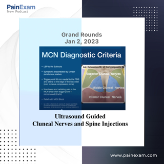 Ultrasound Guided Spine and Interventions- Cluneal Nerve, Stellate Ganglion, Facet, Caudal and more!