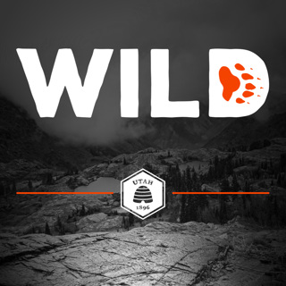 Ep 82: Deer series part one: A look at deer in Utah