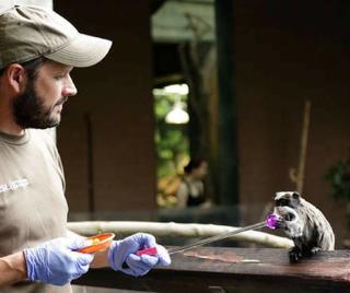 Jim Mackie – Animal Training and behavior officer, Zoological society of London.