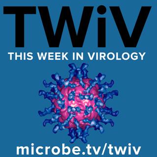 TWiV 372: Latent viral tendencies