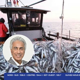 Baisse de 24,8 % des exportations de produits de la pêche : Arvin Boolell évoque une possible erreur dans les statistiques