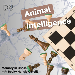 Memory in Chess