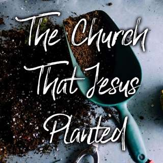 The Church That Jesus Planted | David Lyon