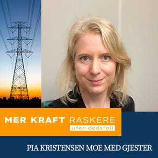 En H-verdi gir oss ikke så mye, det er kun tall! Med Karoline Sønnesyn fra Eviny
