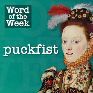 Tudor Word of the Week: Puckfist