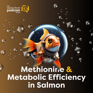 Methionine & Metabolic Efficiency in Salmon | Ep. 56