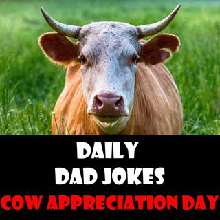 Cow Appreciation Day! Top jokes about all things cow! 12 July 2022