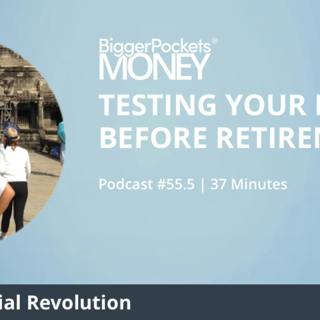 Testing Your Portfolio BEFORE Retirement with Millennial Revolution