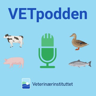 VETpodden