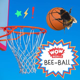 Bee-Ball: A Buzzer-Beating Investigation Into Why Insects Play