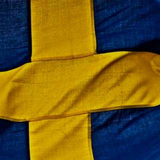 Nationaldagsmorgon med Språket