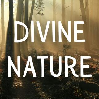 Soothing Music for Sleep - Divine Nature