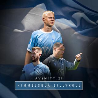 21. Himmelsblå sillykoll