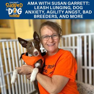 AMA With Susan Garrett: Leash Lunging, Dog Anxiety, Agility Angst, Bad Breeders, And More #235