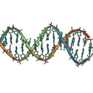 DNA