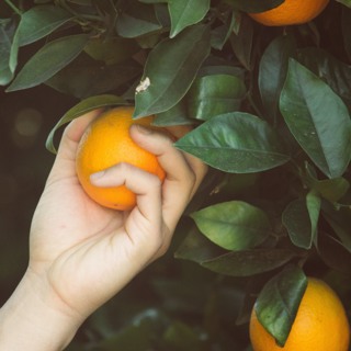 Core Belief Pruning