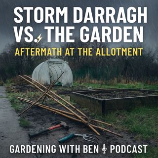 🎧 🌬️ Storm Darragh vs. the Garden | Aftermath at the Allotment