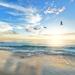 Shell Beach ~ Calming Music & Healing Ocean Waves