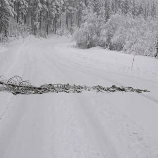 Wararka maanta ee Raadiyaha Iswiidhen