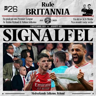 #131 Signalfel