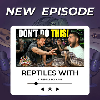 STOP! Top Things NOT to Do at a Reptile Show (DON'T BE THIS PERSON!) | Reptiles With Podcast