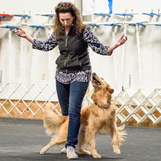 Emma Parsons – Click to calm; Talking aggressive & reactive dogs.