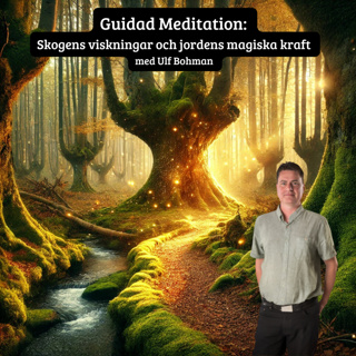 Guidad Meditation: Skogens viskningar och jordens magiska kraft med Ulf Bohman