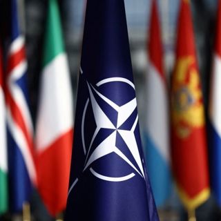 What is the future of Nato?