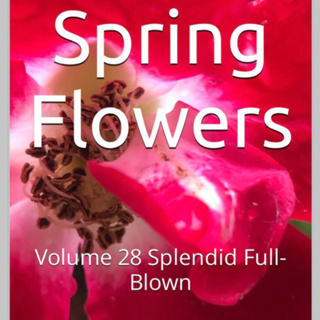 Spring Flowers Volume 28 Splendid Full Blown by Daniel Lucas
