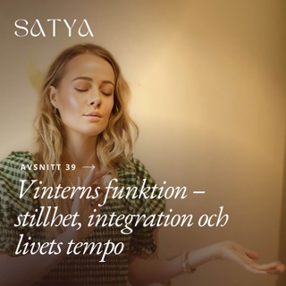 Vinterns funktion – stillhet, integration och livets tempo