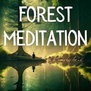 Deep Meditation Music - Forest Meditation