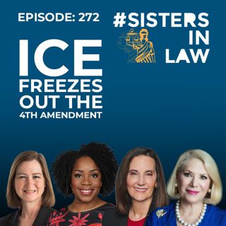 272: ICE Freezes Out The 4th Amendment