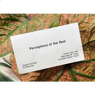 Perceptions of the Real • 11-22-2025 • Saleem Hue Penny