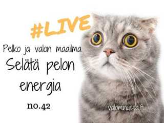 Jakso # 42 Selätä pelon energia