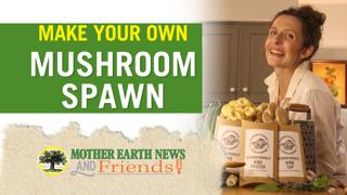 How to Grow Mushrooms: Liquid Culture Recipe