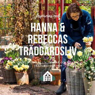 Avsnitt 128 – Städa fram våren